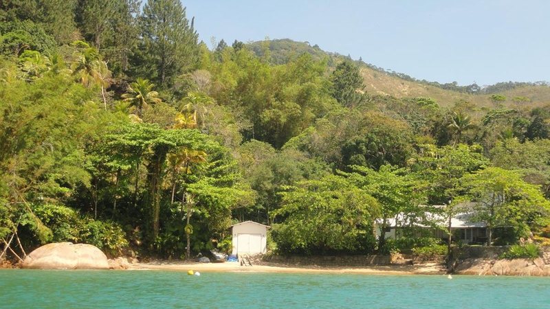 Vista da Praia da Dionísia, em Ubatuba, com faixa de areia estreita, mar de águas verdes e vegetação densa