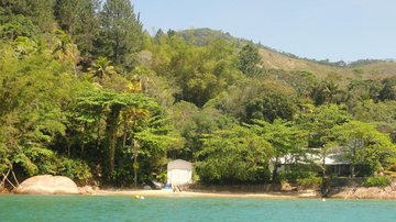 Vista da Praia da Dionísia, em Ubatuba, com faixa de areia estreita, mar de águas verdes e vegetação densa