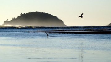 imagem da praia do Guaraú