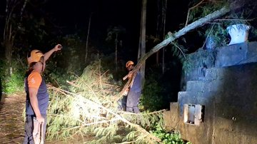 Equipes trabalham à noite na remoção de árvore caída durante temporal