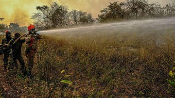 Mato Grosso pede ajuda da Força Nacional no combate a incêndios - © Mayke Toscano/Secom-MT