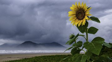 Costa Norte