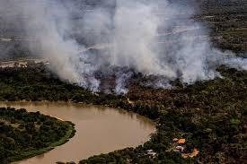 Incêndio no Pantanal - Reprodução/Internet