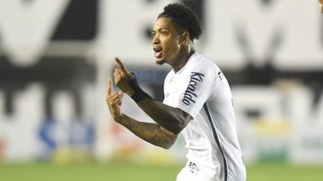 O artilheiro Marinho saiu do banco de reservas para marcar o gol de empate do Santos - Divulgação