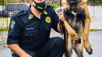 Anubis cão policial - Antonio Ferreira/Seicom/PMSV