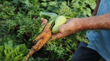 Governo repassa R$ 72,9 milhões a estados para a agricultura familiar - © Tânia Rêgo/Agência Brasil