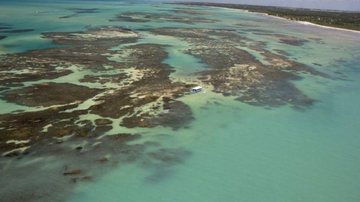 Estudo prevê mudança em recifes de corais por aquecimento do oceano - © Jorge Menezes/ICMBio