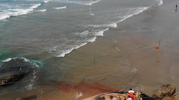Baleia-de-Bryde é encontrada morta em Guarujá - Drone/Rodrigo Nattan