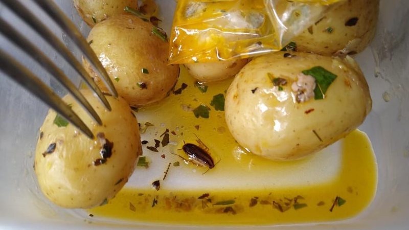 Comida com barata - Reprodução/Internet