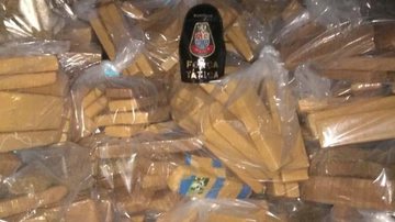 TONELADA DE DROGA - Divulgação/Polícia Militar