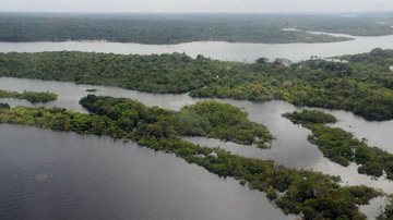 Pandemia leva a queda de 66% no faturamento do turismo no Amazonas - © Valter Campanato/Agência Brasil