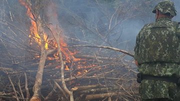 Incêndio em Itanhaém - Polícia Ambiental