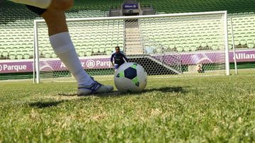 Sem Marcos Rocha e Esteves, auxiliar esboça Palmeiras com volta de convocados - César Greco / Palmeiras
