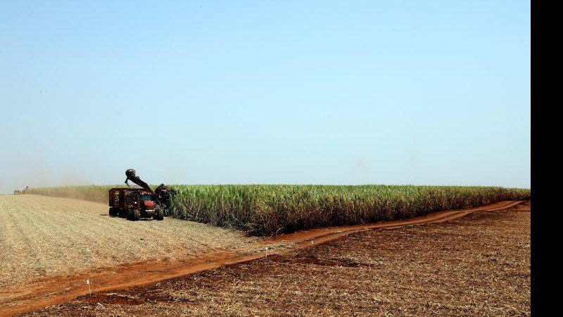 Agricultura lança plataforma para registro de máquinas e tratores - © Reuters/Paulo Whitaker/Direitos Reservados