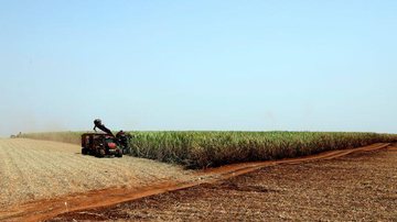Agricultura lança plataforma para registro de máquinas e tratores - © Reuters/Paulo Whitaker/Direitos Reservados