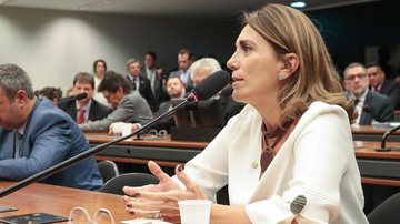 Rosana Valle propõe linha de crédito para compra de terrenos de marinha - Divulgação