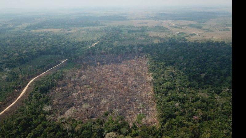 Desmatamento da Amazônia sobe 9,5% e atinge 11 mil km2 - © Op VERDE BRASIL/17