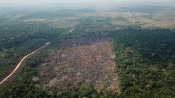 Desmatamento da Amazônia sobe 9,5% e atinge 11 mil km2 - © Op VERDE BRASIL/17