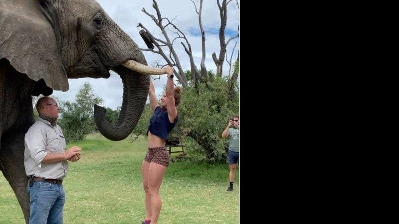 Imagem Empresária faz flexões em presas de elefante e é críticada por isso