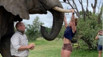 Imagem Empresária faz flexões em presas de elefante e é críticada por isso