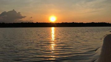 Estudo cita comportamento de predação social em peixes da Amazônia - © Bruno Mangolini/Poranduba Amazônia/Direitos Reservados