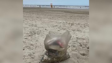 Moradora fica indignada com sujeira da praia: "não existe só a gente neste planeta" Lixo no Balneário Flórida, em Praia Grande Moradora fica indignada com a sujeira que recolheu na praia do bairro Balneário Flórida em Praia Grande: "não existe só a gente n - Reprodução Facebook