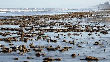 Divulgação/Prefeitura de Praia Grande