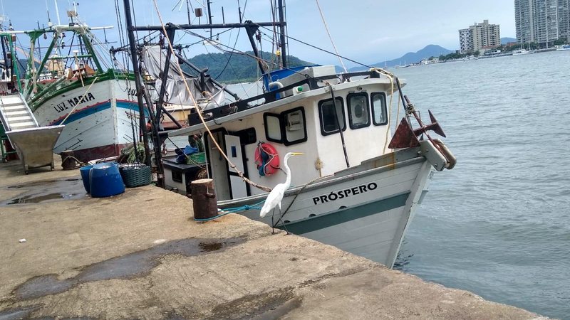 Autuação foi de R$ 14 mil. Embarcação, redes e demais petrechos foram apreendidos - Reprodução/ Polícia Ambiental