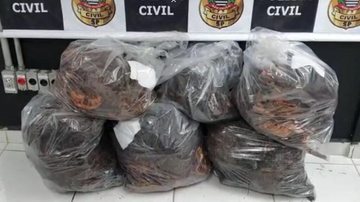 Polícia Civil realiza Operação Hefesto II na Baixada Santista e Vale do Ribeira - Reprodução/Policia Civil