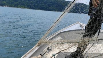 Polícia Ambiental flagra 800 metros de rede de pesca irregular em Praia Grande - Divulgação/CiaMar