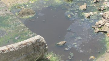 Moradores de Praia Grande reclamam de água suja na praia do Maracanã - Reprodução/PGinfomidia