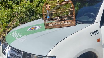 Tutor de passarinho domesticado é autuado em Itanhaém - Divulgação/Policia Ambiental