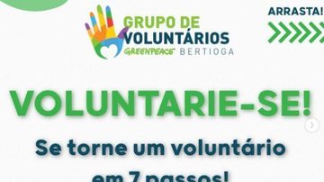 Divulgação/ Greenpeace