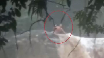 Marcus Henrique lutou pela vida com tudo que pode contra cabeça d'água em cachoeira e segue desaparecido Marcos Henrique Nere - Cachoeira de Melvi - Foto: Reprodução / Marcia Lucena