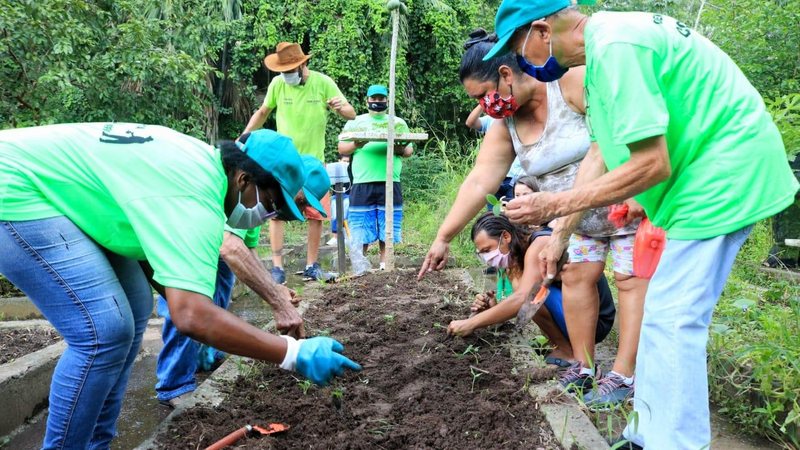 Voluntários podem plantar e colher em jardim de Santos - Isabela Carrari