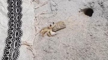 Vídeo foi gravado por uma moradora que ‘flagrou’ arremesso de areia