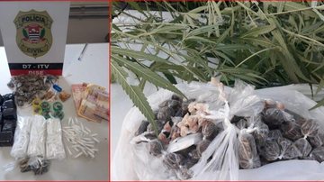 Polícia Civil de Itapeva prende em flagrante dois homens por tráfico de drogas - Reprodução/Policia Civil