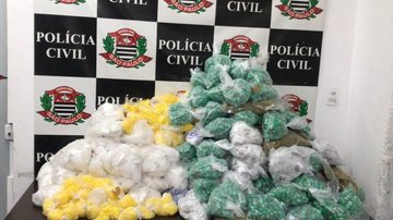 Casal é preso com 31kg de entorpecentes em Diadema - Reprodução/Polícia Civil