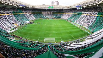 Nickollas e sua mãe são convidados para seguir o Palmeiras no Mundial de Clubes - César Greco / Palmeiras