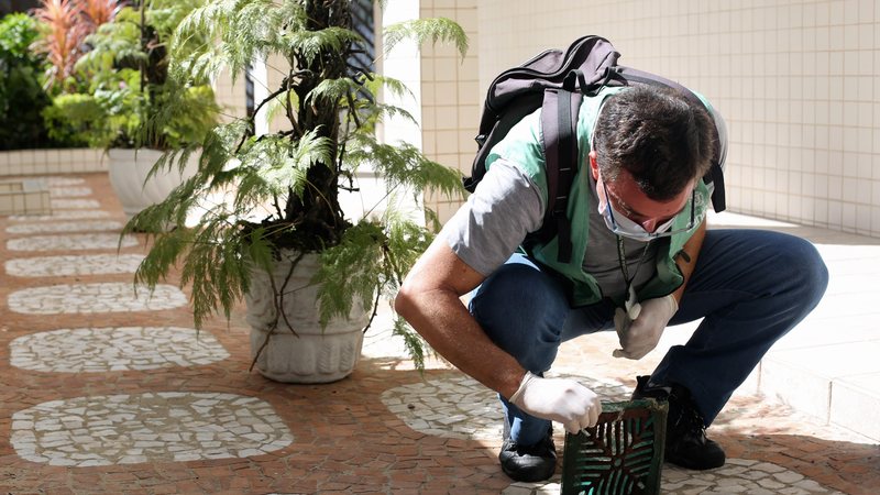Mutirão flagra 58 focos de dengue em borracharia na Ponta da Praia - Isabela Carrari