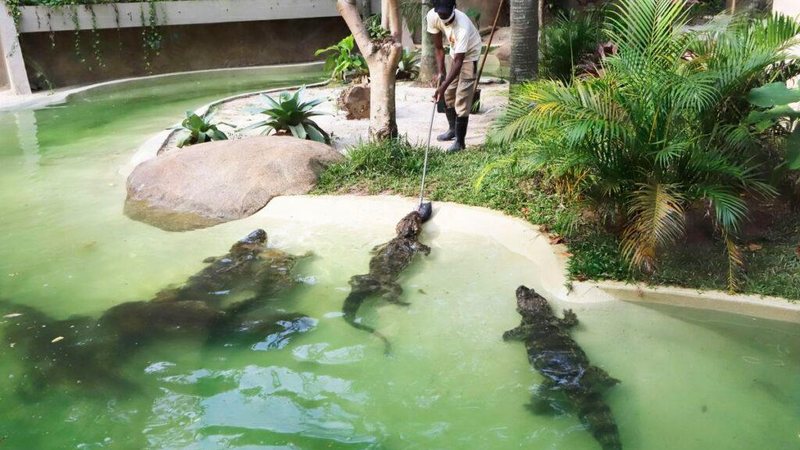BioParque do Rio, antigo Jardim Zoológico, é inaugurado - © Beth Santos/Prefeitura do Rio de Janeiro