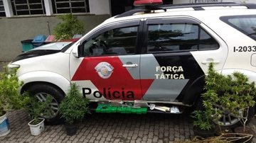 No porta mala do veiculo Renault Logan foram encontrados 13 tijolos de maconha e no quintal da residência aproximadamente vasos de maconha - Foto: Divulgação