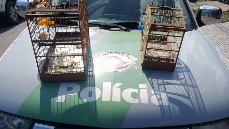 Polícia Militar Ambiental
