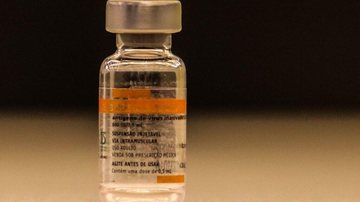 Butantan entrega mais 2,2 milhões de doses de vacina CoronaVac - © Rovena Rosa/Agência Brasil