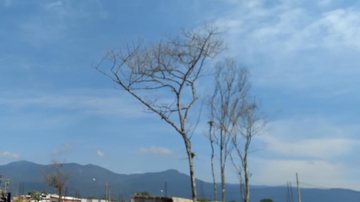 Muro ainda inacabado foi construído para cercar o local - Reprodução/ Polícia Ambiental
