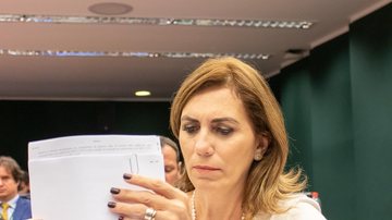 Rosana Valle pede ao Ministério de Economia reedição de programa para evitar demissões - Reprodução/Deputada Federal Rosana Valle