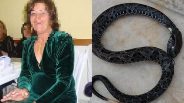 Idosa entrava no quintal de casa quando pisou na serpente sem querer e foi picada. Serpente possui veneno mortífero Idosa picada por cobra - Imagem: Reprodução