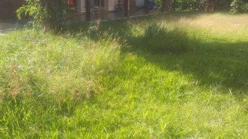Morador denuncia falta de estrutura e vagas em creche do bairro Itaguá, em Ubatuba (SP) - Foto: Divulgação/Redes Sociais