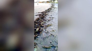 Praia de Caraguatatuba é tomada por suja e revolta moradores - Reprodução/Facebook