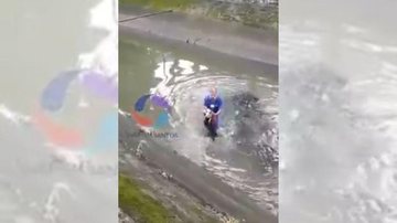 VÍDEO | Motorista salva cachorro 'malcriado' de afogamento em canal de Santos - Reprodução/Viver em Santos